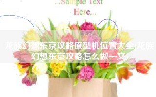 龙族幻想东京攻略原型机位置大全(龙族幻想东京攻略怎么做一文)