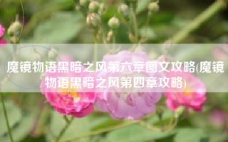 魔镜物语黑暗之风第六章图文攻略(魔镜物语黑暗之风第四章攻略)