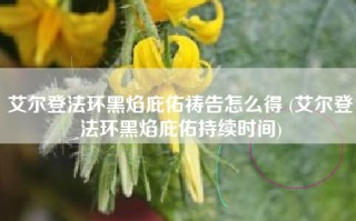 艾尔登法环黑焰庇佑祷告怎么得 (艾尔登法环黑焰庇佑持续时间)