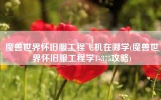 魔兽世界怀旧服工程飞机在哪学(魔兽世界怀旧服工程学1-375攻略)