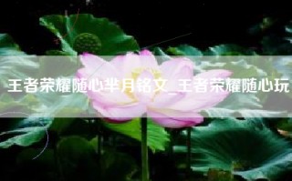 王者荣耀随心芈月铭文_王者荣耀随心玩
