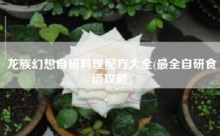 龙族幻想自研料理配方大全(最全自研食谱攻略)