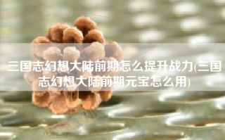 三国志幻想大陆前期怎么提升战力(三国志幻想大陆前期元宝怎么用)