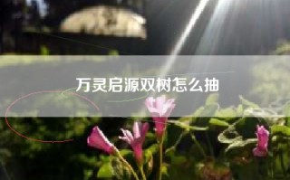 万灵启源双树怎么抽