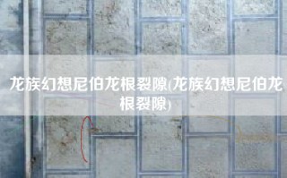 龙族幻想尼伯龙根裂隙(龙族幻想尼伯龙根裂隙)