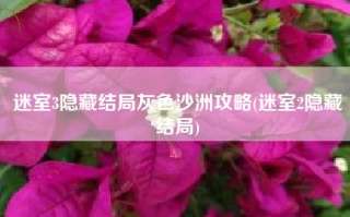 迷室3隐藏结局灰色沙洲攻略(迷室2隐藏结局)