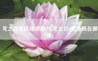 龙之谷竞技场攻击力(龙之谷2竞技场在哪里)