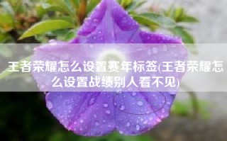 王者荣耀怎么设置赛年标签(王者荣耀怎么设置战绩别人看不见)