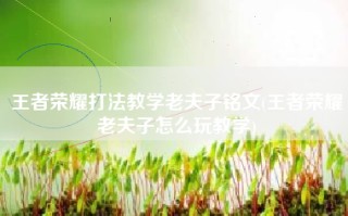 王者荣耀打法教学老夫子铭文(王者荣耀老夫子怎么玩教学)