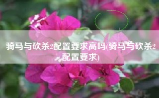 骑马与砍杀2配置要求高吗(骑马与砍杀2配置要求)