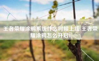王者荣耀涂鸦系统什么时候上线(王者荣耀涂鸦怎么开启)