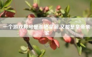 一个游戏称号是杀猪皇帝,又都是皇帝亲家