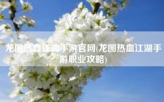 龙图热血江湖手游官网(龙图热血江湖手游职业攻略)