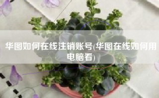 华图如何在线注销账号(华图在线如何用电脑看)
