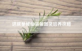 这就是修仙装备器灵培养攻略