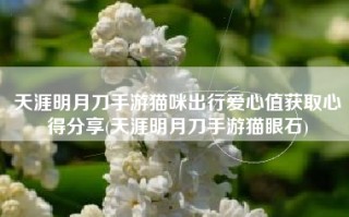 天涯明月刀手游猫咪出行爱心值获取心得分享(天涯明月刀手游猫眼石)