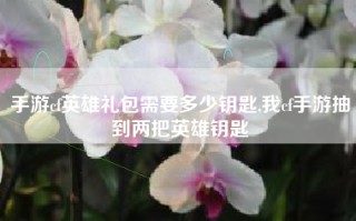 手游cf英雄礼包需要多少钥匙,我cf手游抽到两把英雄钥匙