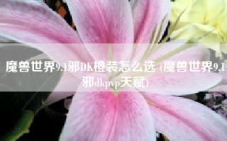 魔兽世界9.1邪DK橙装怎么选 (魔兽世界9.1邪dkpvp天赋)
