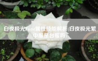 白夜极光Faust属性技能解析(白夜极光繁中服是台服吗)