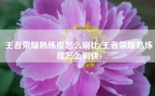 王者荣耀熟练度怎么刷比(王者荣耀熟练度怎么刷快)
