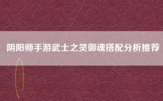 阴阳师手游武士之灵御魂搭配分析推荐