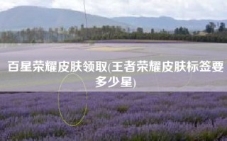 百星荣耀皮肤领取(王者荣耀皮肤标签要多少星)