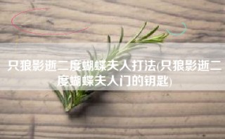 只狼影逝二度蝴蝶夫人打法(只狼影逝二度蝴蝶夫人门的钥匙)