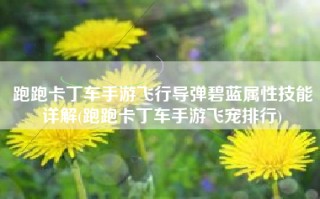 跑跑卡丁车手游飞行导弹碧蓝属性技能详解(跑跑卡丁车手游飞宠排行)