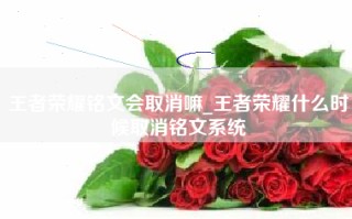 王者荣耀铭文会取消嘛_王者荣耀什么时候取消铭文系统