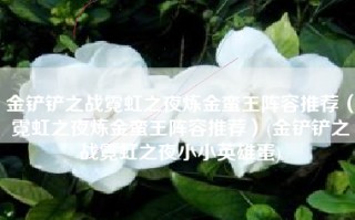 金铲铲之战霓虹之夜炼金蛮王阵容推荐（霓虹之夜炼金蛮王阵容推荐）(金铲铲之战霓虹之夜小小英雄蛋)