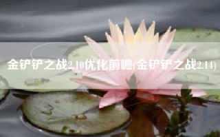 金铲铲之战2.10优化前瞻(金铲铲之战2.14)