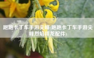 跑跑卡丁车手游尖峰(跑跑卡丁车手游尖峰烈焰祥龙配件)