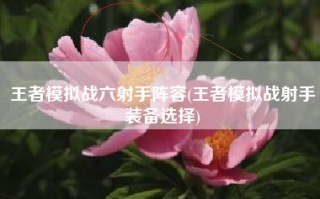 王者模拟战六射手阵容(王者模拟战射手装备选择)