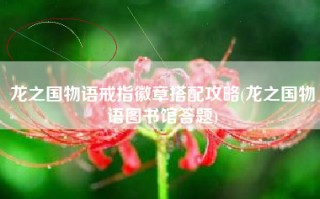 龙之国物语戒指徽章搭配攻略(龙之国物语图书馆答题)