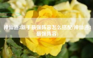 神仙道3新手最强阵容怎么搭配(神仙道3最强阵容)