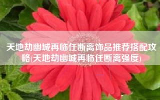 天地劫幽城再临任断离饰品推荐搭配攻略(天地劫幽城再临任断离强度)
