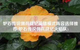 炉石传说佣兵战纪英雄模式阵容选择推荐(炉石传说佣兵战纪火焰队)