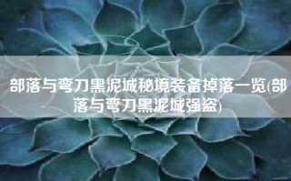 部落与弯刀黑泥城秘境装备掉落一览(部落与弯刀黑泥城强盗)