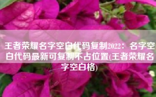 王者荣耀名字空白代码复制2022：名字空白代码最新可复制不占位置(王者荣耀名字空白格)