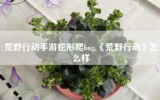 荒野行动手游蛇形爬bug,《荒野行动》怎么样