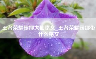王者荣耀露娜大仙铭文_王者荣耀露娜带什么铭文
