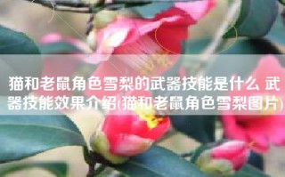 猫和老鼠角色雪梨的武器技能是什么 武器技能效果介绍(猫和老鼠角色雪梨图片)
