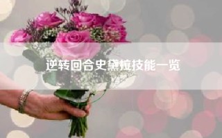 逆转回合史黛拉技能一览