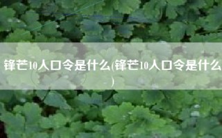 锋芒10人口令是什么(锋芒10人口令是什么)