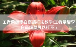 王者荣耀李白高端打法教学(王者荣耀李白高端局可以打不-)