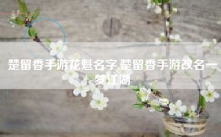 楚留香手游花魁名字,楚留香手游改名一梦江湖