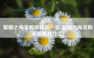 黎明之海圣殿军技能一览(黎明之海圣殿军技能选什么)