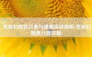 龙族幻想执行者与猎鹰实战简析(龙族幻想执行者攻略)
