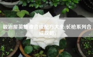 锻冶屋英雄谭合成配方大全(长枪系列合成攻略)