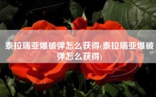 泰拉瑞亚爆破弹怎么获得(泰拉瑞亚爆破弹怎么获得)